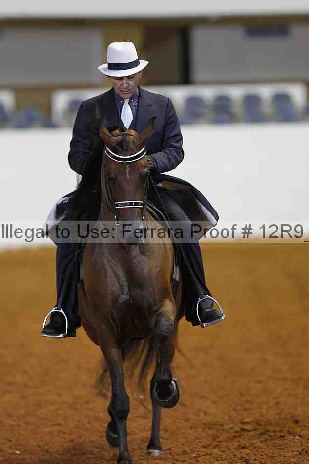 Proof 12r9_8313