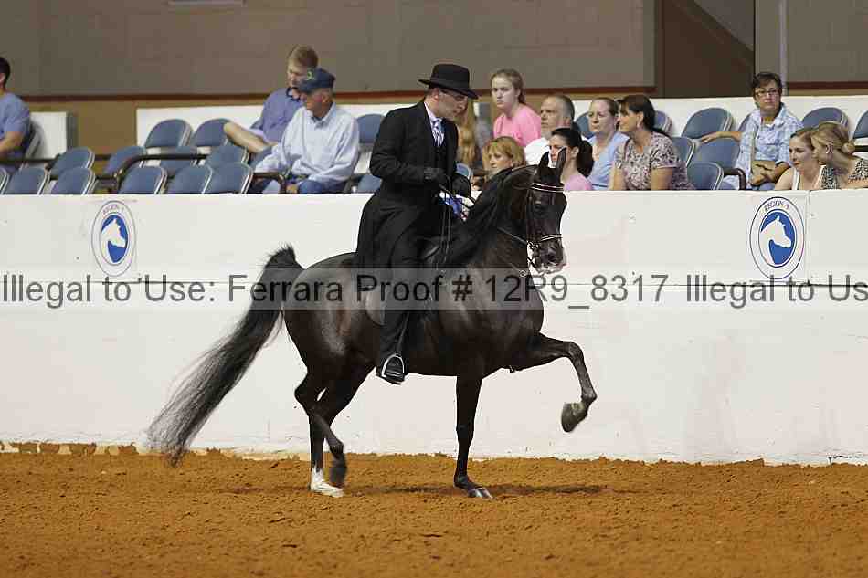 Proof 12r9_8317