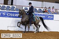12r9_8332 proof