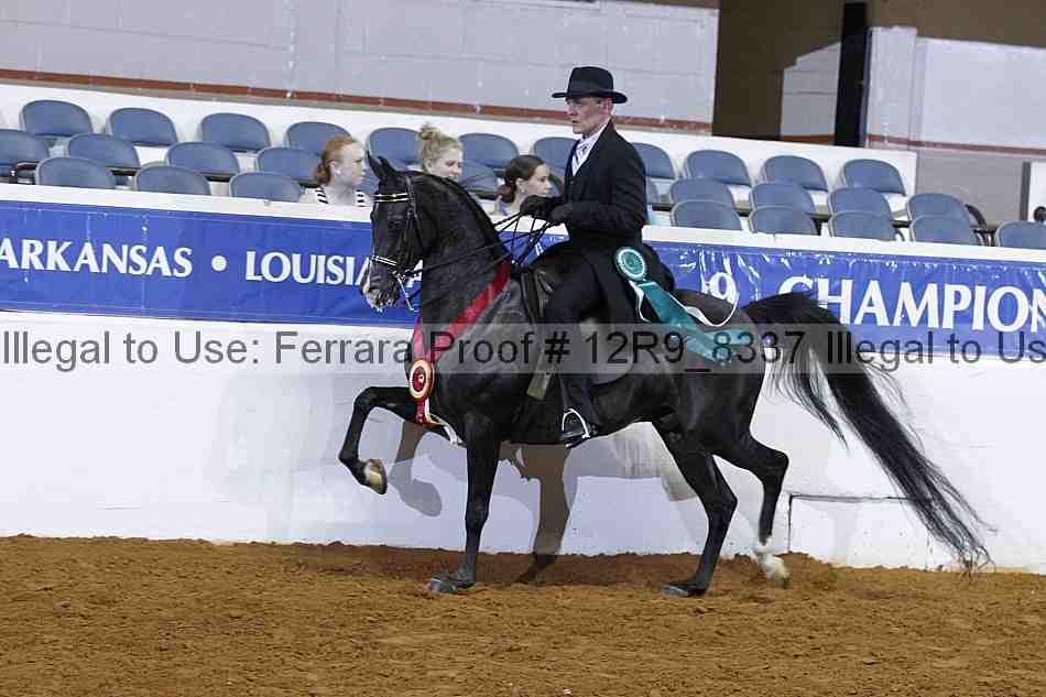Proof 12r9_8337