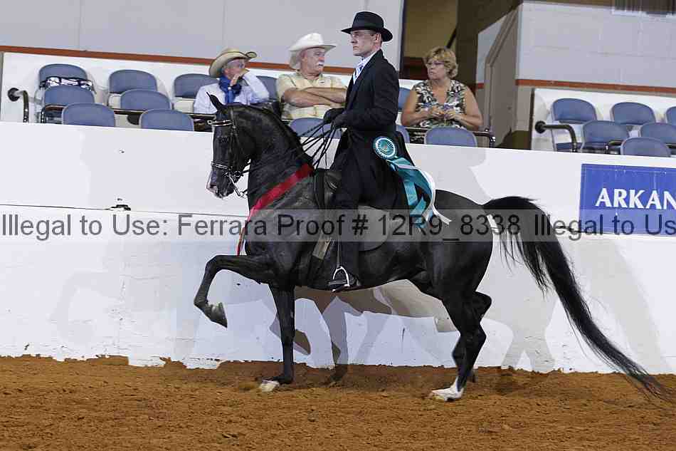 Proof 12r9_8338
