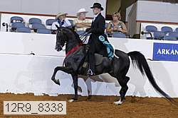 12r9_8338 proof