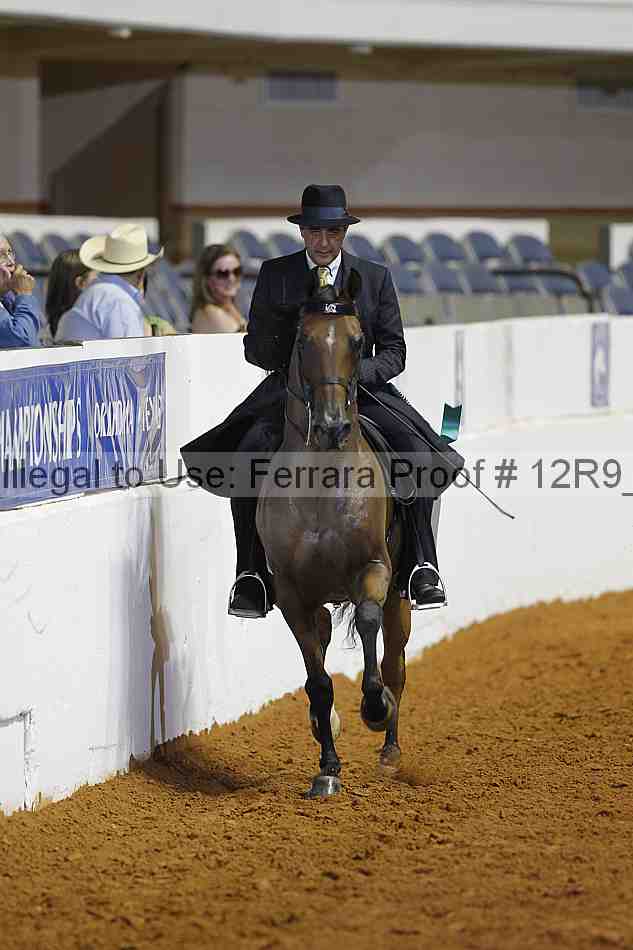 Proof 12r9_8339