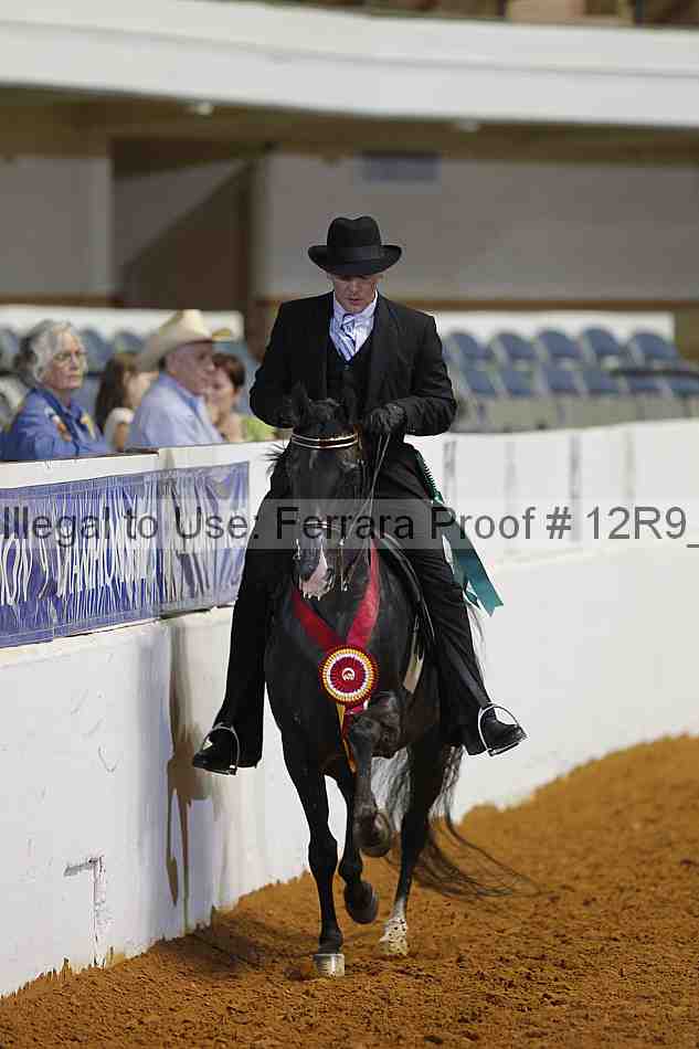 Proof 12r9_8345