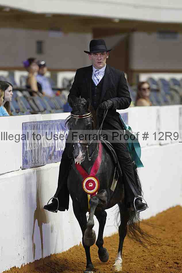 Proof 12r9_8346