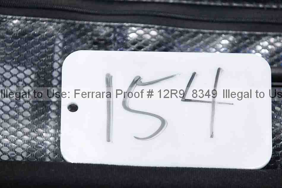 Proof 12r9_8349