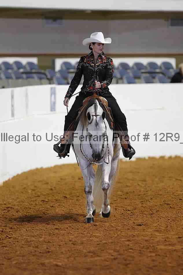 Proof 12r9_8362