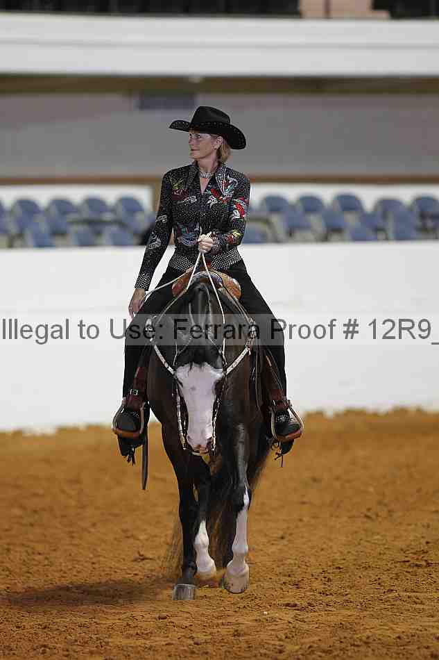 Proof 12r9_8372