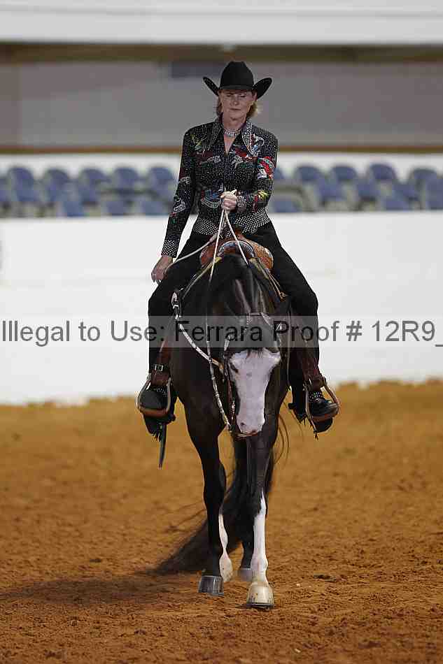 Proof 12r9_8373