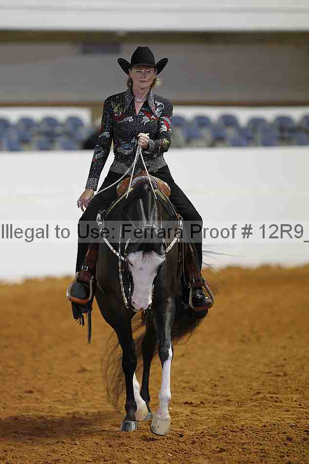Proof 12r9_8374
