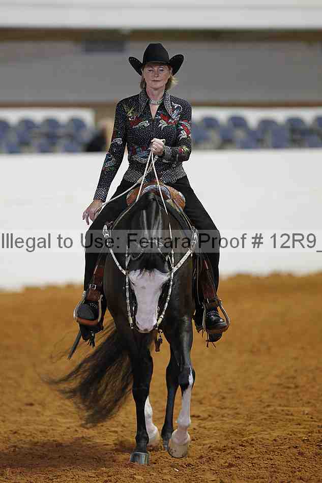 Proof 12r9_8375