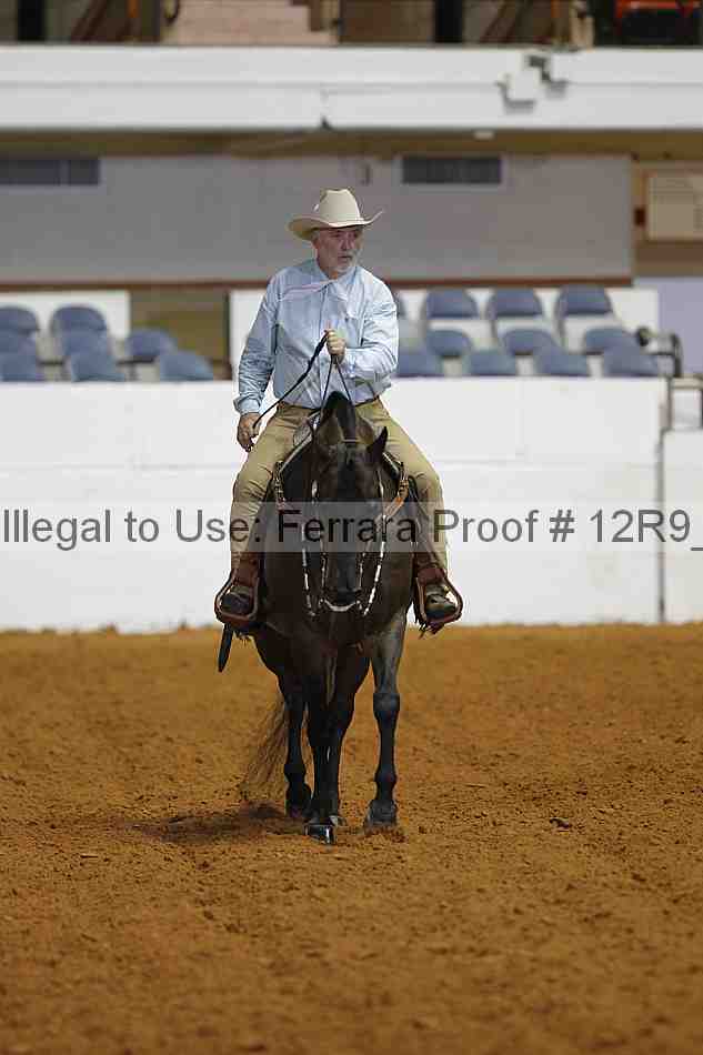 Proof 12r9_8379
