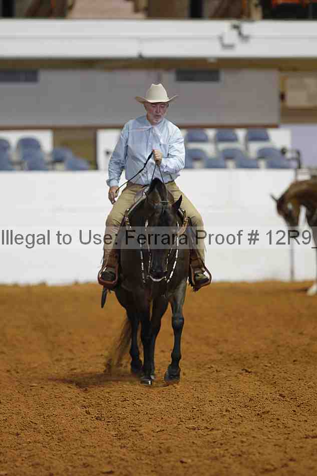 Proof 12r9_8380