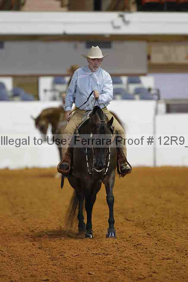 Proof 12r9_8382