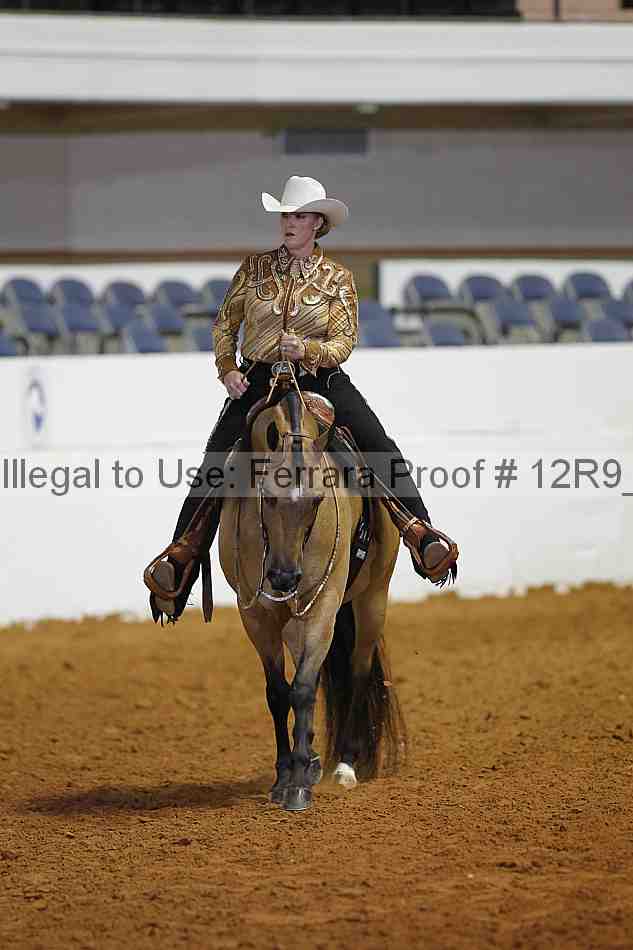 Proof 12r9_8393