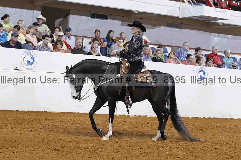 Proof 12r9_8395