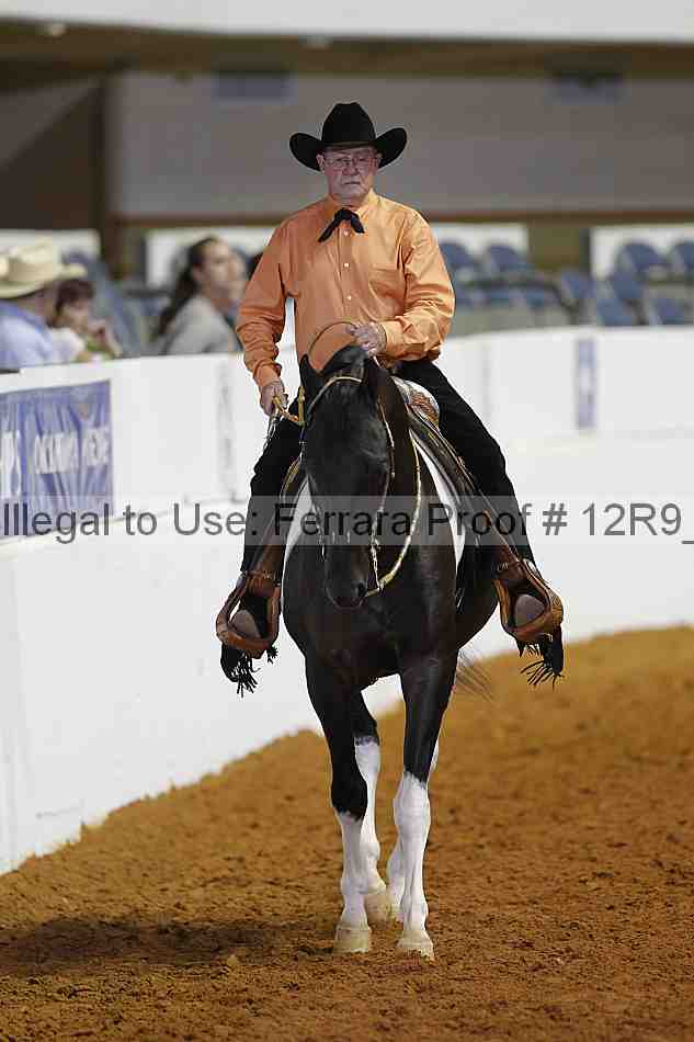 Proof 12r9_8396