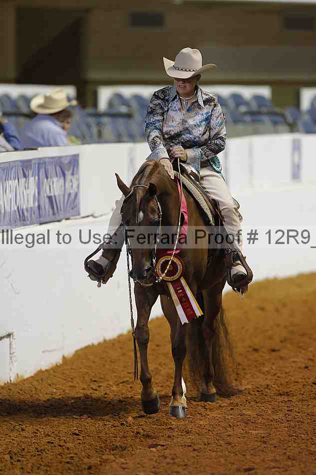 Proof 12r9_8407