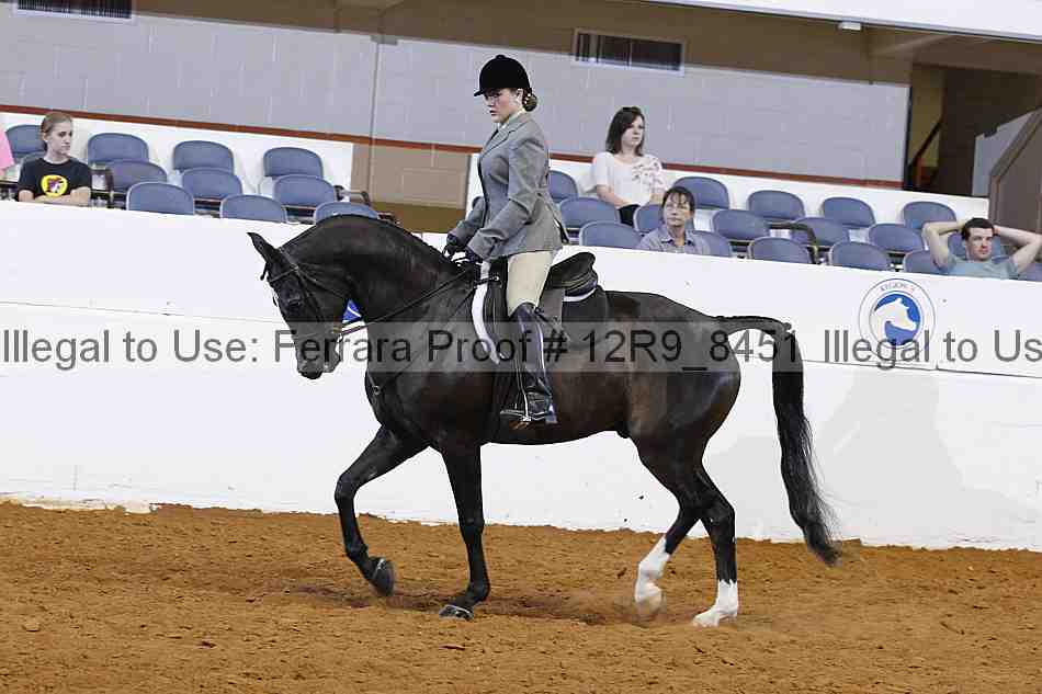 Proof 12r9_8451