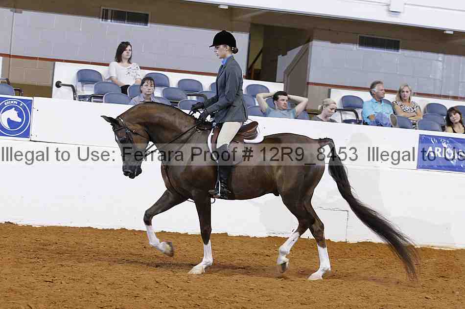 Proof 12r9_8453