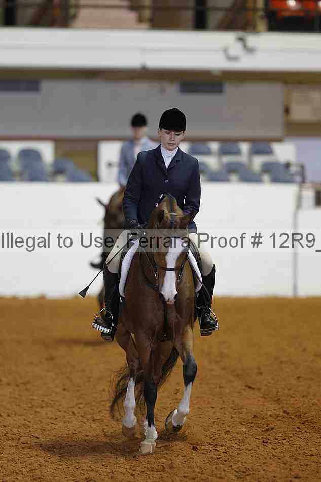 Proof 12r9_8480