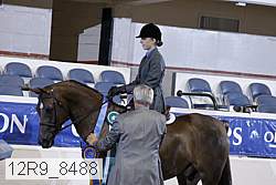 12r9_8488 proof