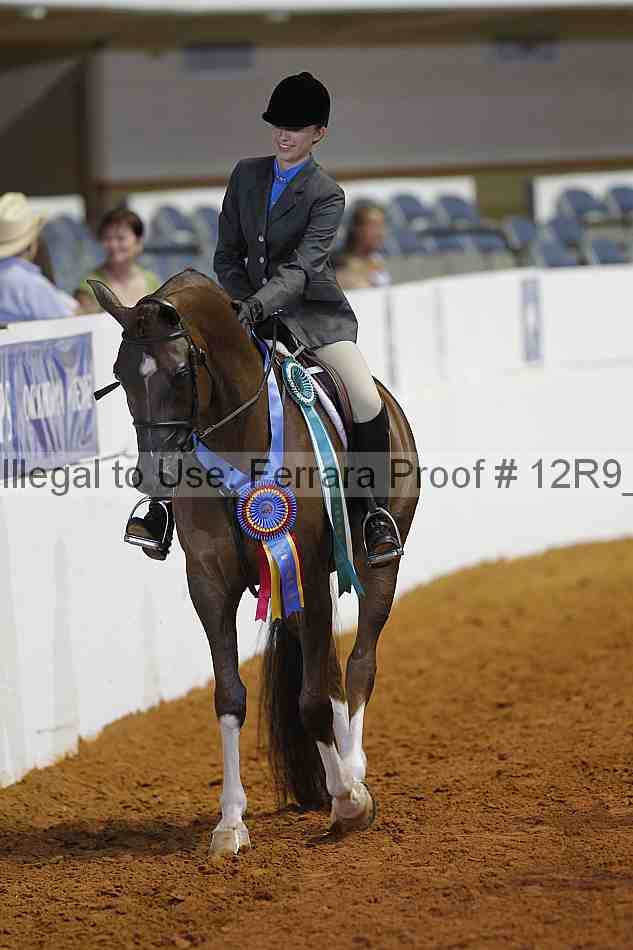 Proof 12r9_8495