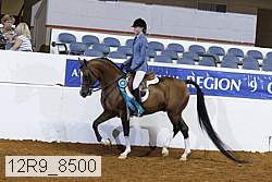 12r9_8500 proof
