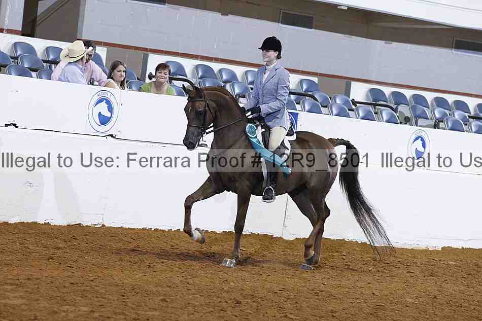 Proof 12r9_8501