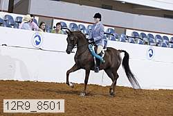 12r9_8501 proof