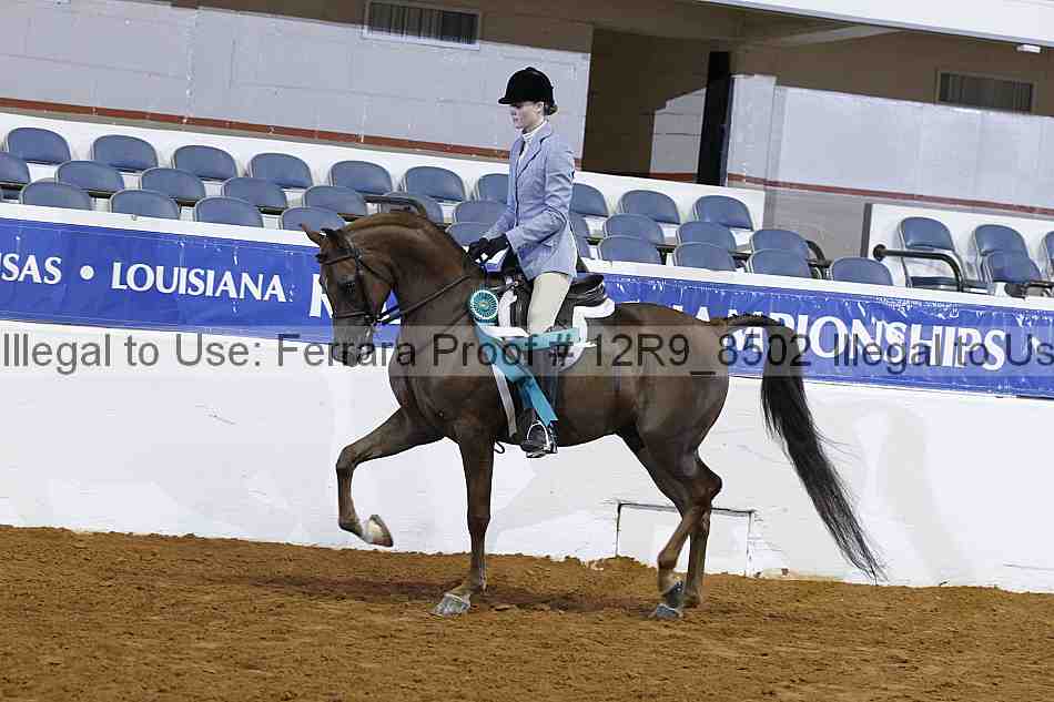 Proof 12r9_8502