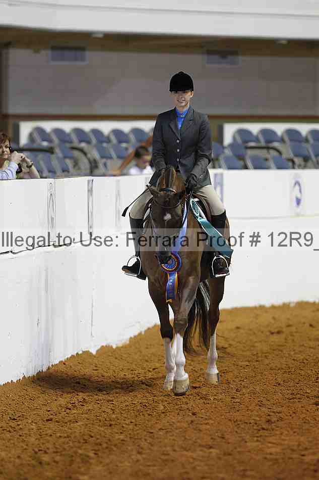 Proof 12r9_8520