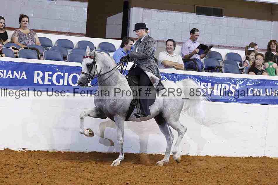Proof 12r9_8527