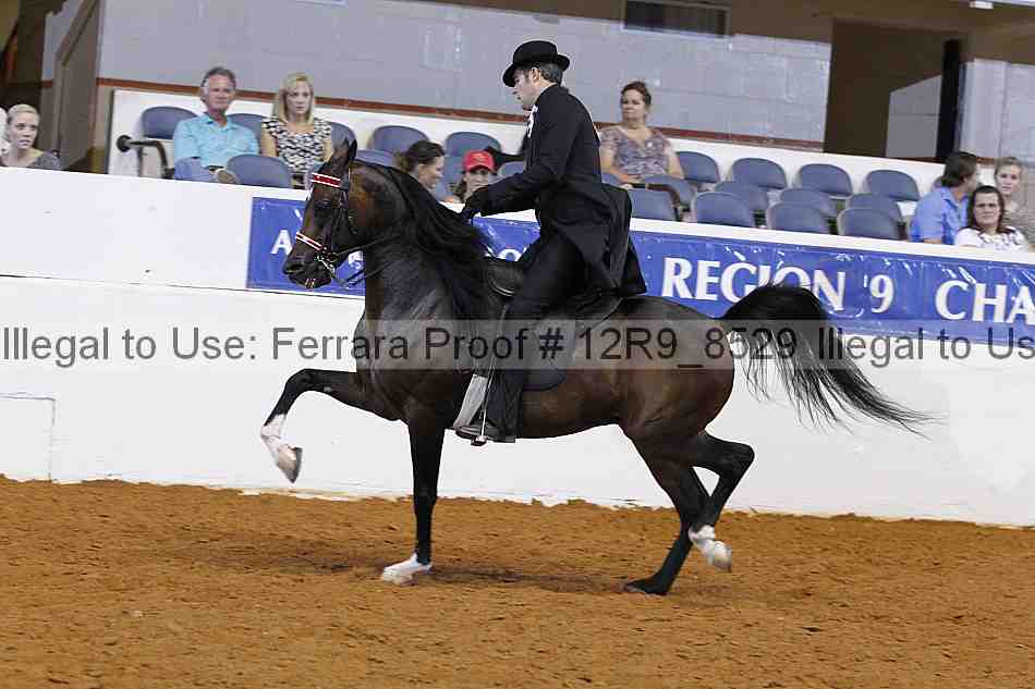 Proof 12r9_8529