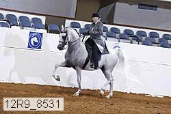 12r9_8531 proof