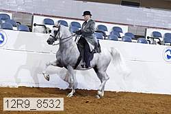 12r9_8532 proof
