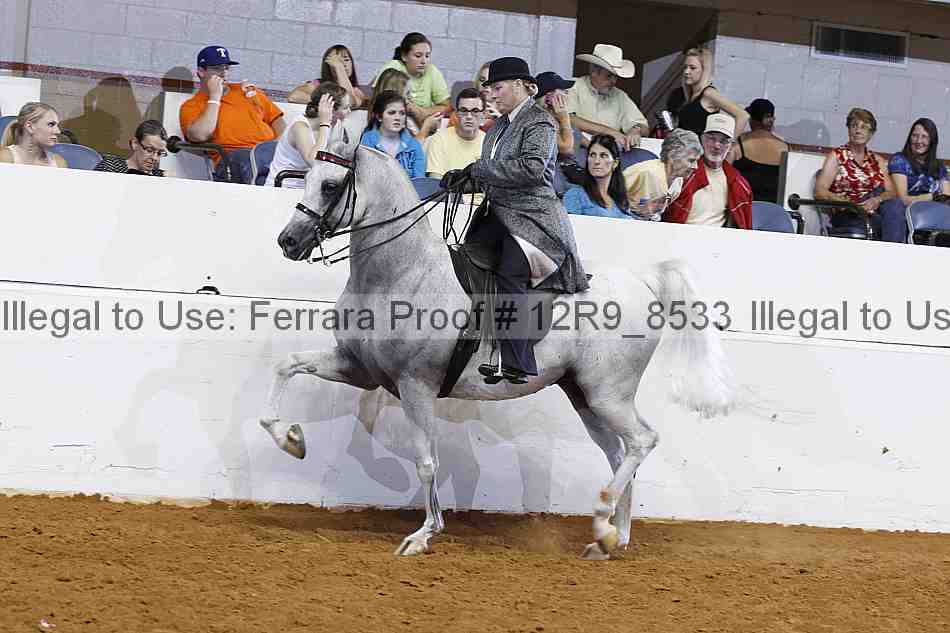 Proof 12r9_8533