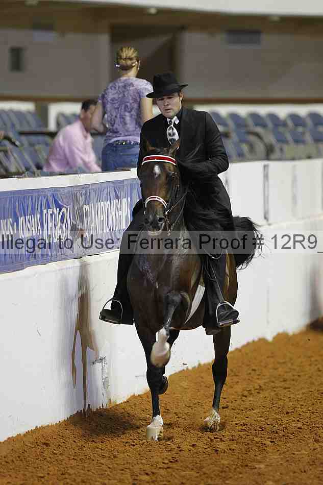 Proof 12r9_8534