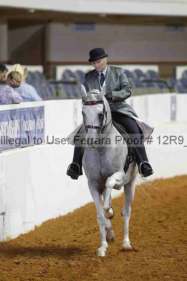 Proof 12r9_8535