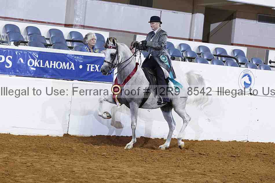 Proof 12r9_8542