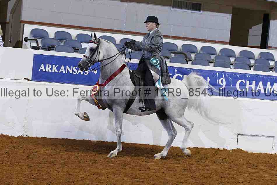 Proof 12r9_8543