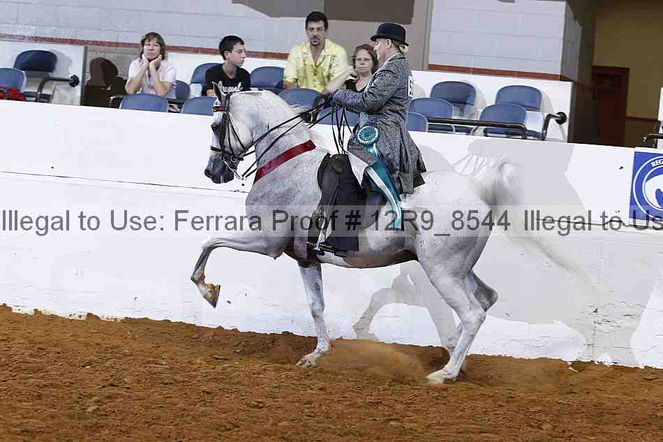 Proof 12r9_8544