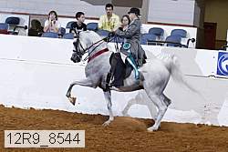 12r9_8544 proof