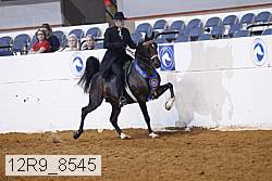 12r9_8545 proof