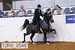 12r9_8546 proof