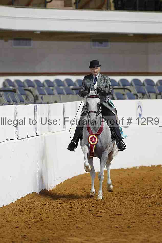 Proof 12r9_8549