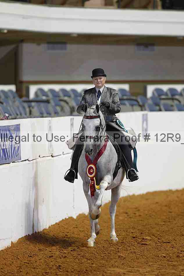 Proof 12r9_8550