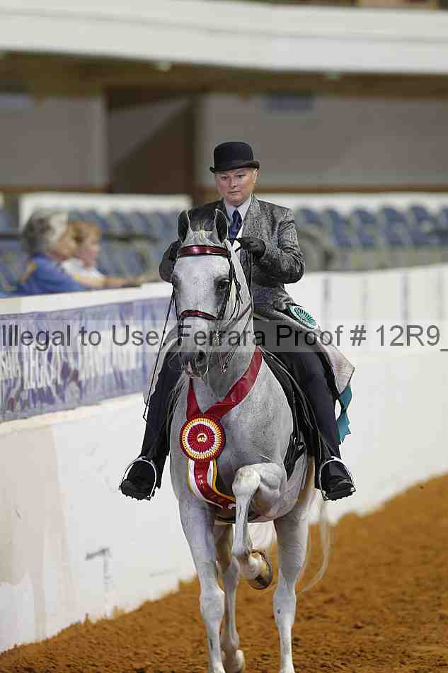 Proof 12r9_8552