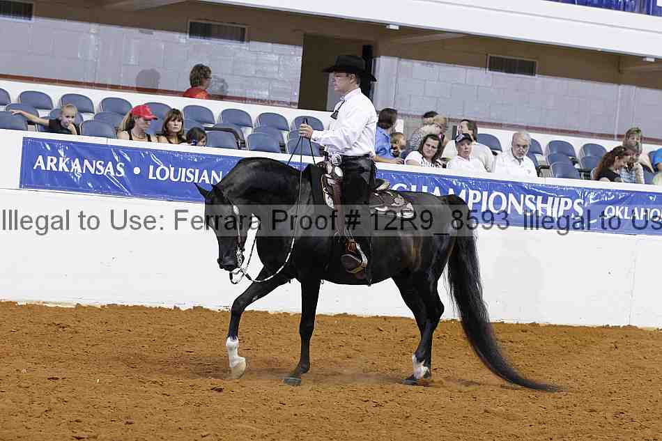 Proof 12r9_8593