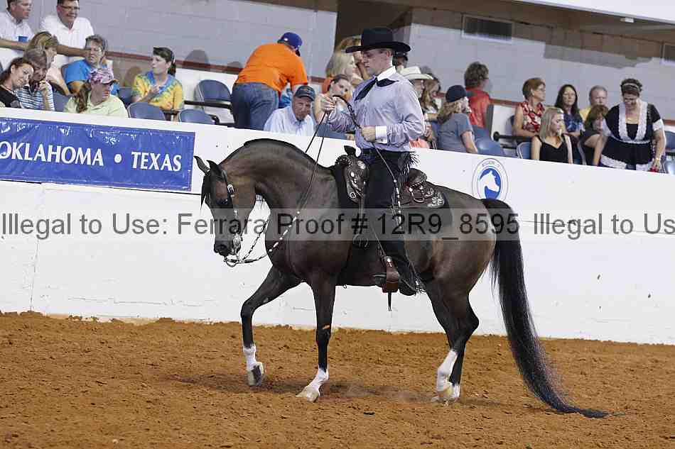 Proof 12r9_8595